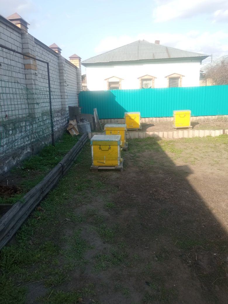 Продам рутовские ульи в комплекте -20 000т.   Всё для пасеки:сушь .