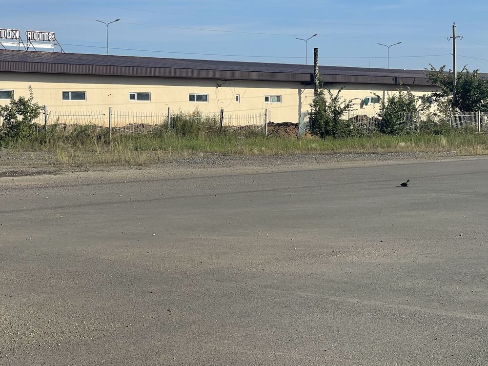 Сдам в аренду площадку