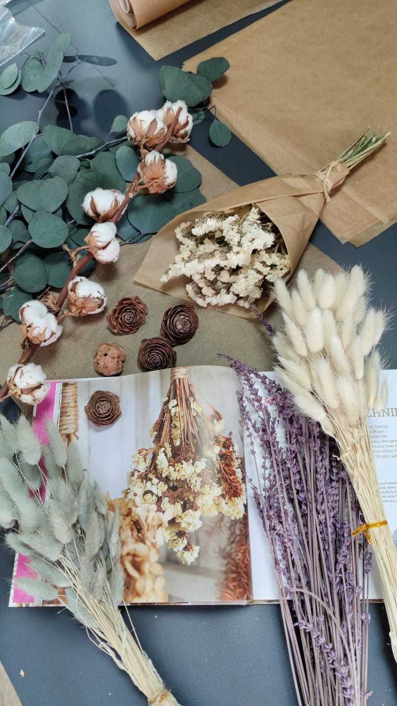 Лагурус сухоцвет