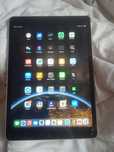 ipad9 ozi 4  трутон и отпечатка