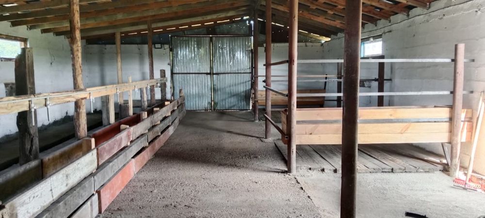 Продаю дом с базой под скот