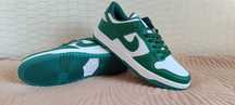 Nike Dunk low  Pro