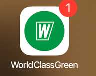 Абонемент в World Class Ботанический