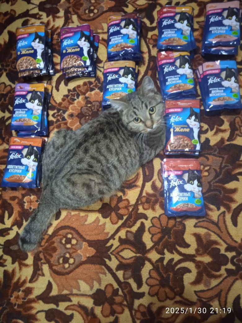 ФЕЛИКС для кошек !!!