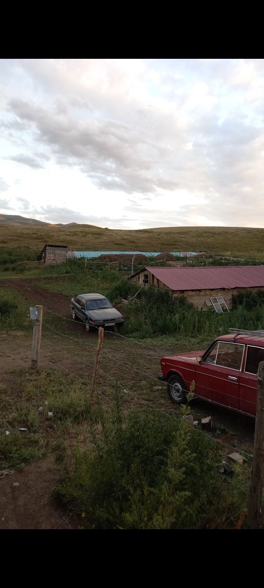 Фазенда сатылады