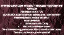 ПШЕНИЦА (мягкая, твердая)