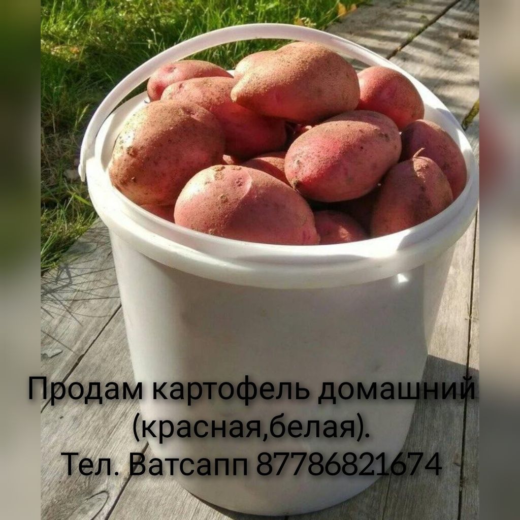 Продам все новое не дорого