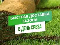 Рулонный газон Джонсон | Укладка под ключ | Цена от 2600 тг/м²