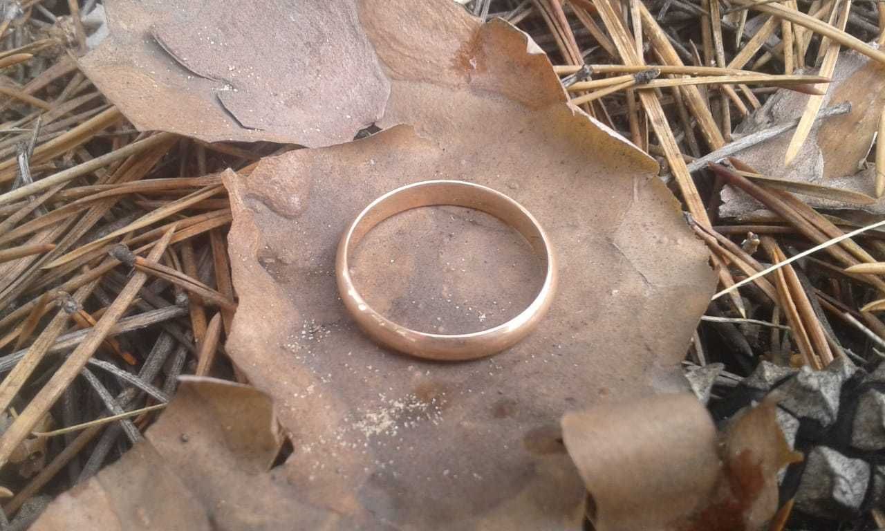 Металлоискатель, поиск потерянных вещей, госномер