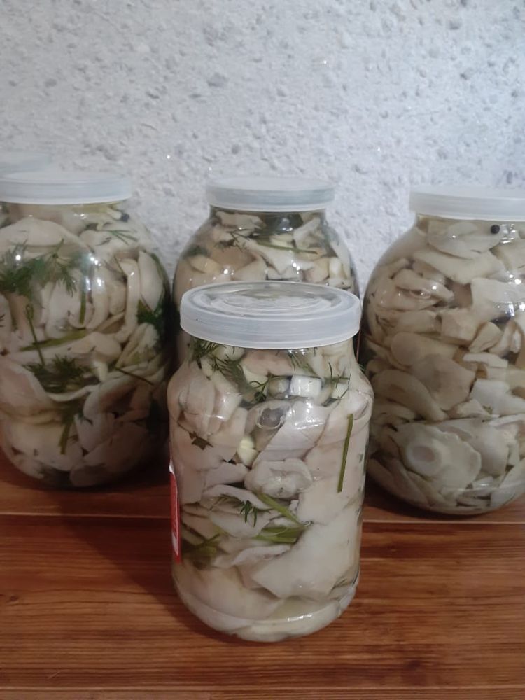 Продам грузди