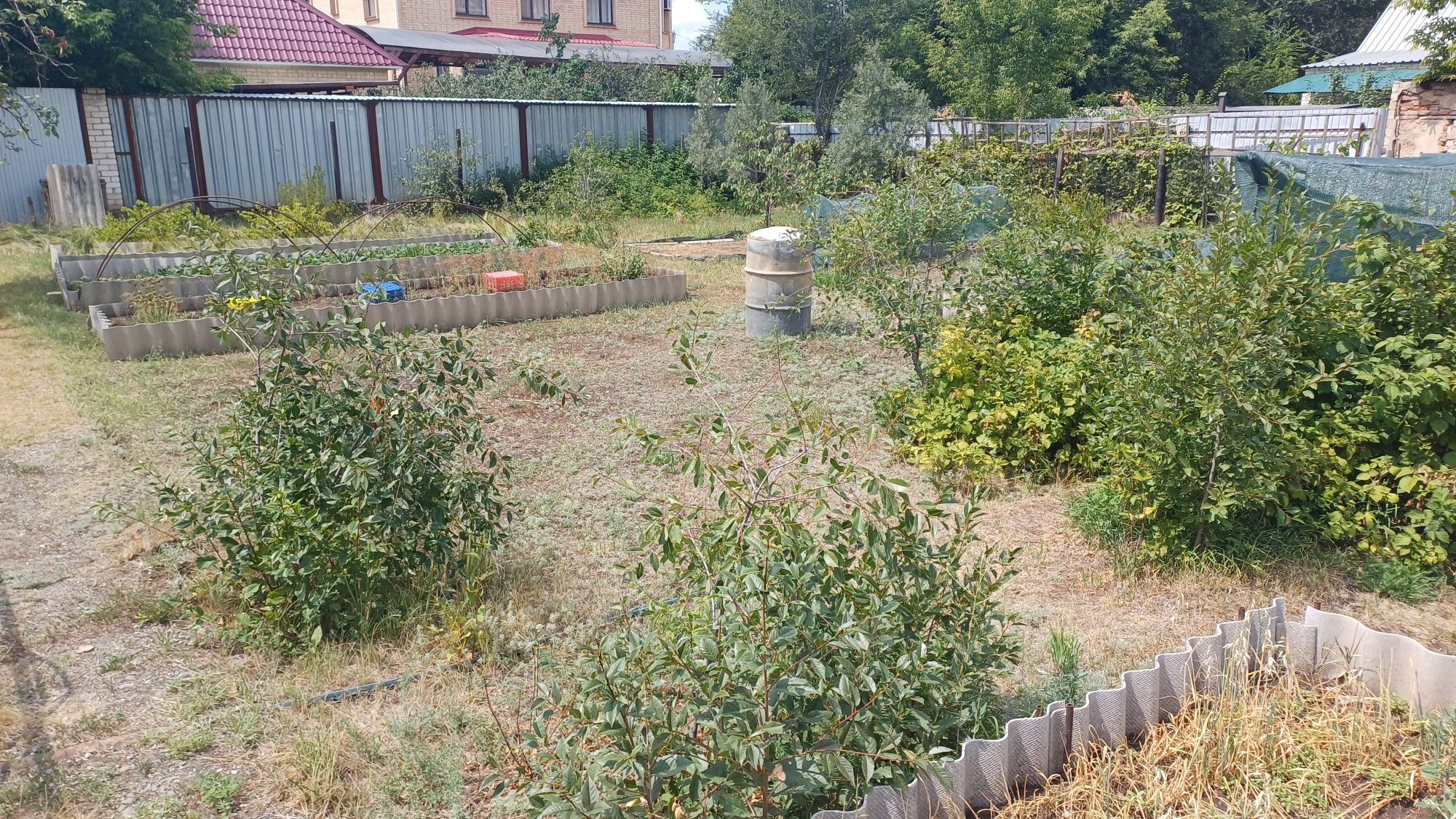 13соток Тынышпаева