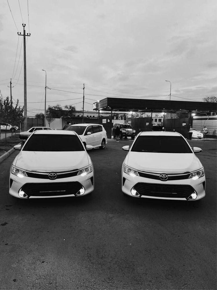 Аренда авто. Прокат авто. Авто в аренду. Прокат машин