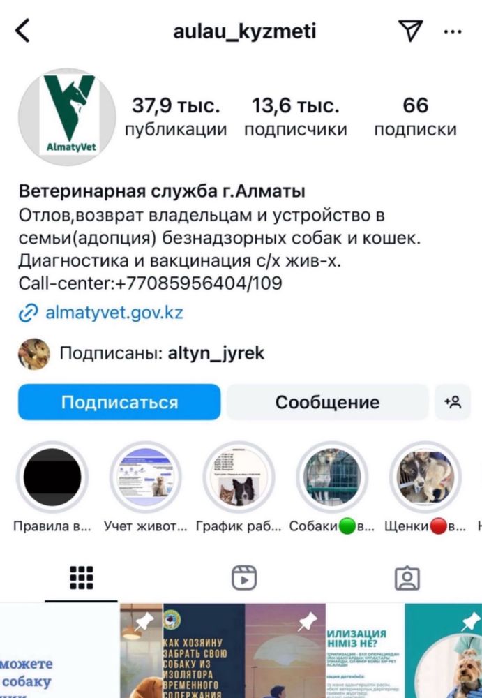 Собаки в дар. Породистые и дворняжки. Адрес: Спасская 150/1.
