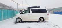 Англоговорящий водитель на Toyota Alphard, Кольсай, Чарын, Чунджа