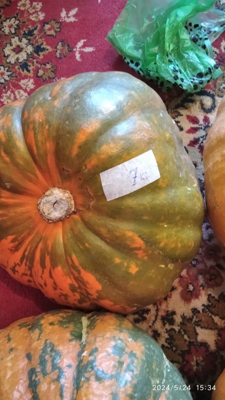 Продам домашнюю тыкву