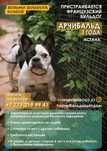 Читать внимательно! Отдается в надёжные руки