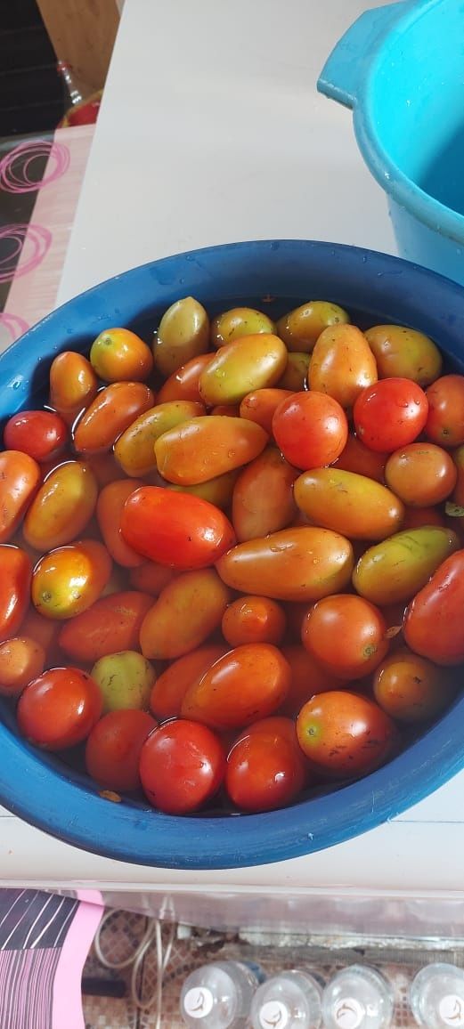 Продаю домашние вкусные соленья, всё с огорода