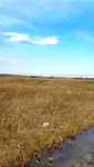 Продается участок село Акши, Енбекшиказахский район