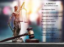 Адвокат по гражданским, административным и семейным делам,