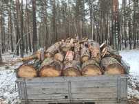 Дрова в чурках (сосна) 3 Куба за 35 000 тг.