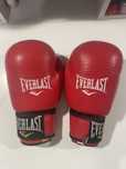 Боксеркие перчатки EVERLAST