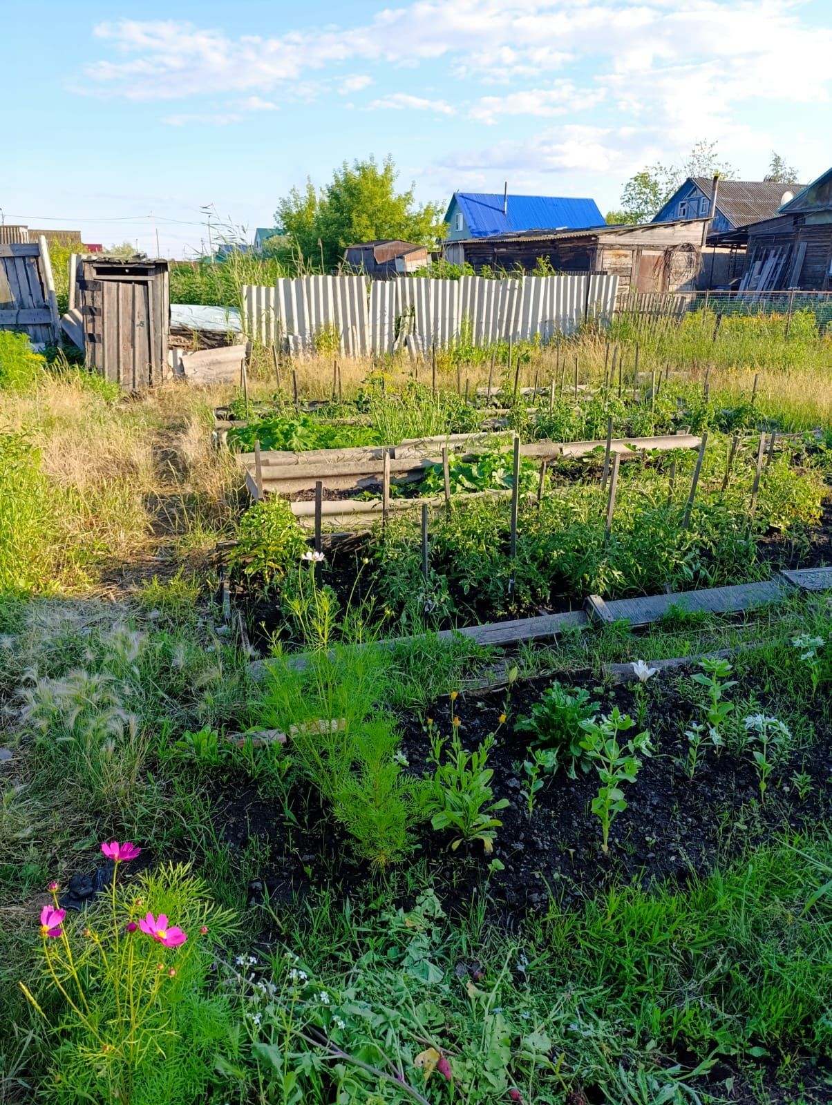 СРОЧНО Продам дом,или обмен на квартиру. собственник