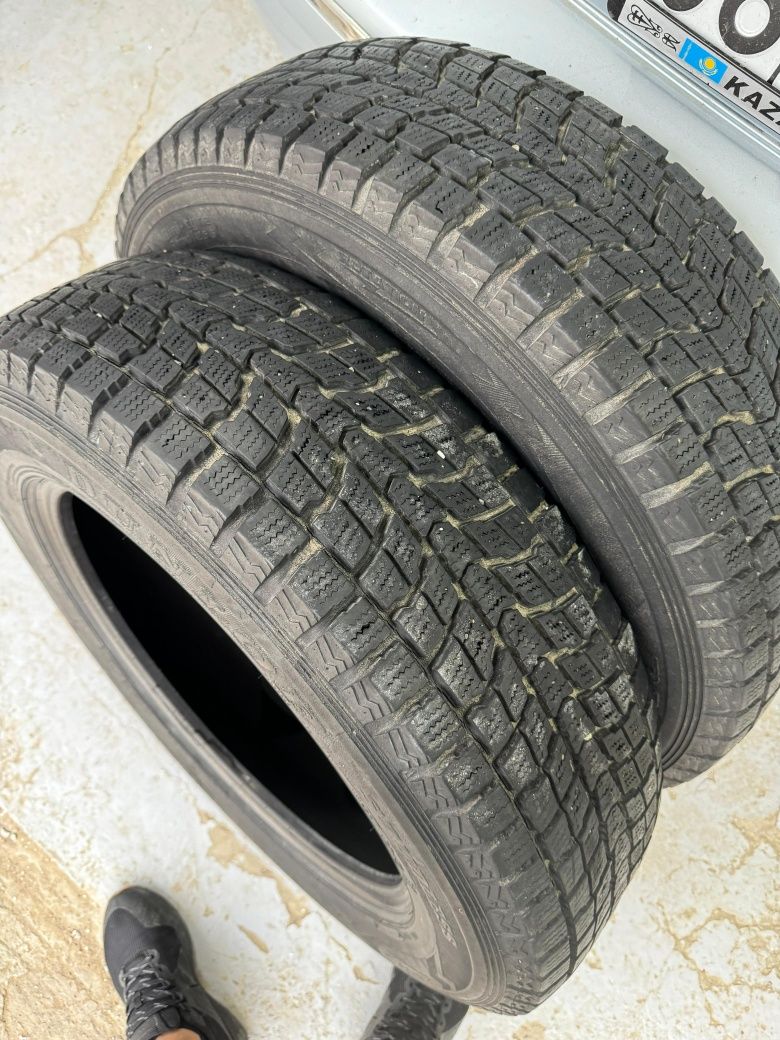 Қысқы пара Dunlop покрышкасы