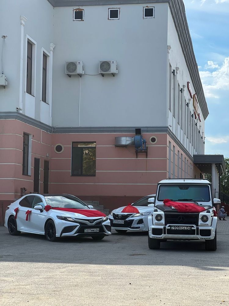 Аренда авто Прокат Кортеж Картеж Трансфер Выписка Роддом Гулянка Той