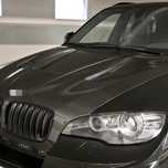 Стекла фар BMW X6 E71
