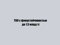 ТОО с финустойчивостью до 1.5 млрд тг.