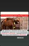 Лента для скот и КРС светоотражающий Качественно и доставка по РК