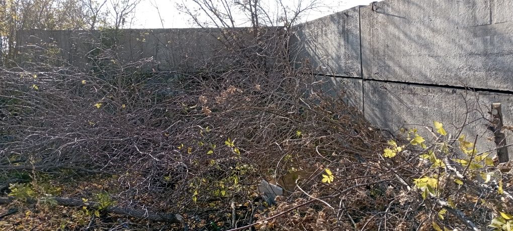Продам участок с домом  обмен варианты  на Ватсап. .Авиа городок.
