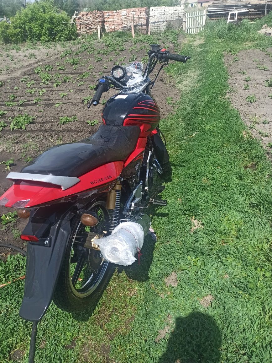 Racer rc250--c5b..