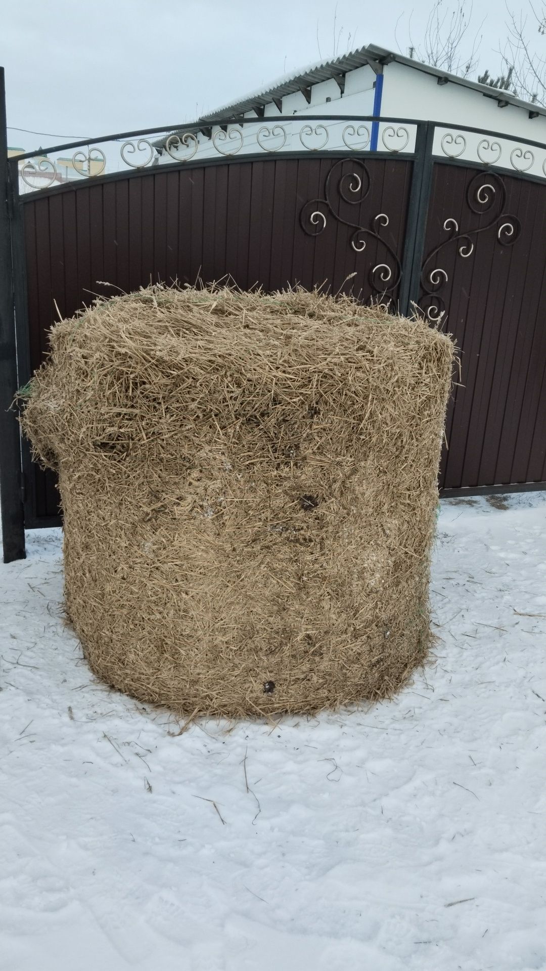 Продам ячменную солому.