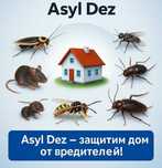 ASYL DEZ — Не дайте вредителям захватить ваш бизнес и дом!