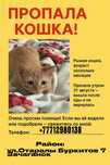 Пропала кошка срочно