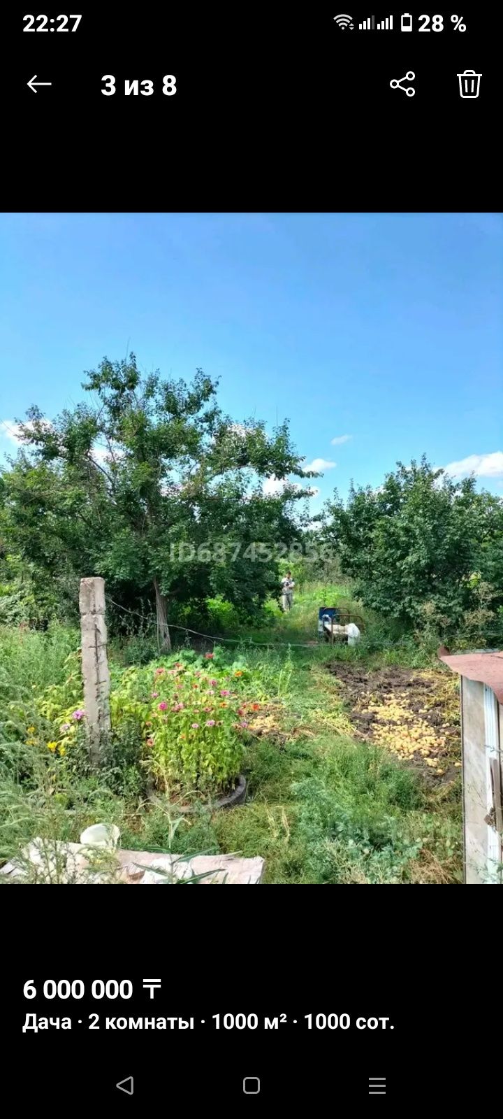 Дача хорошая кардиология