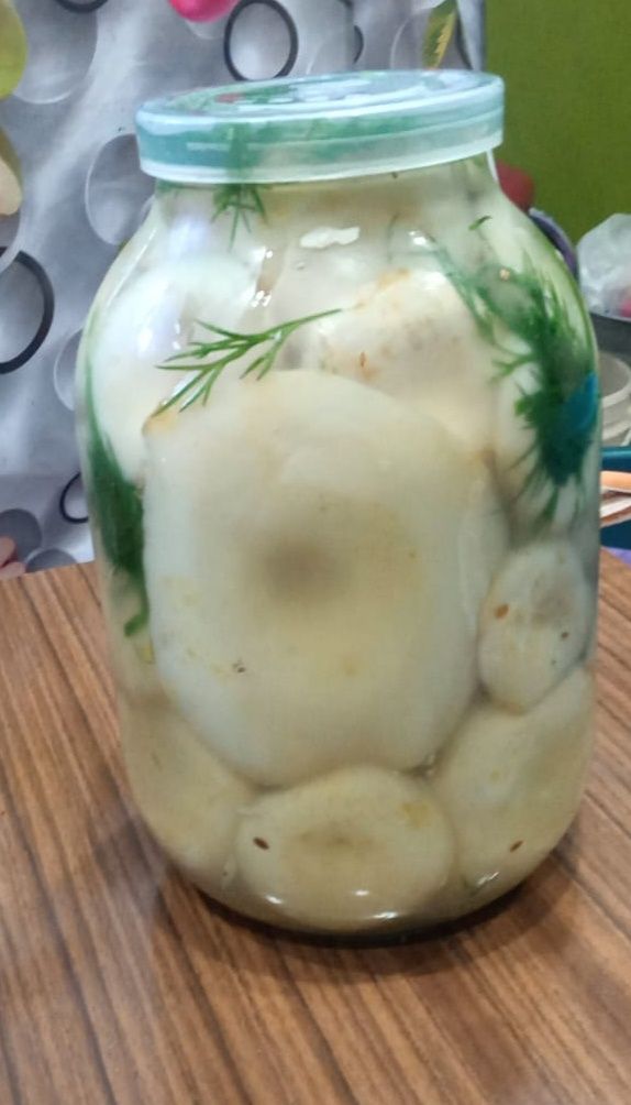 Продам Грузди маринованные Аккольские