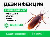 Дезинфекция Дезинсекция Дератизация От Тараканов Клещей Насекомых Тара