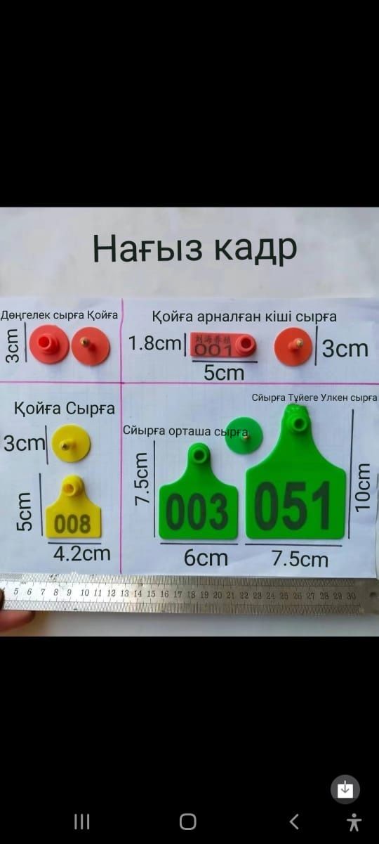 Жылқы, Бие, Ушные бирка, Малға Сырға, қой, Сйыр, Кой, Бұқа,Қошқар,