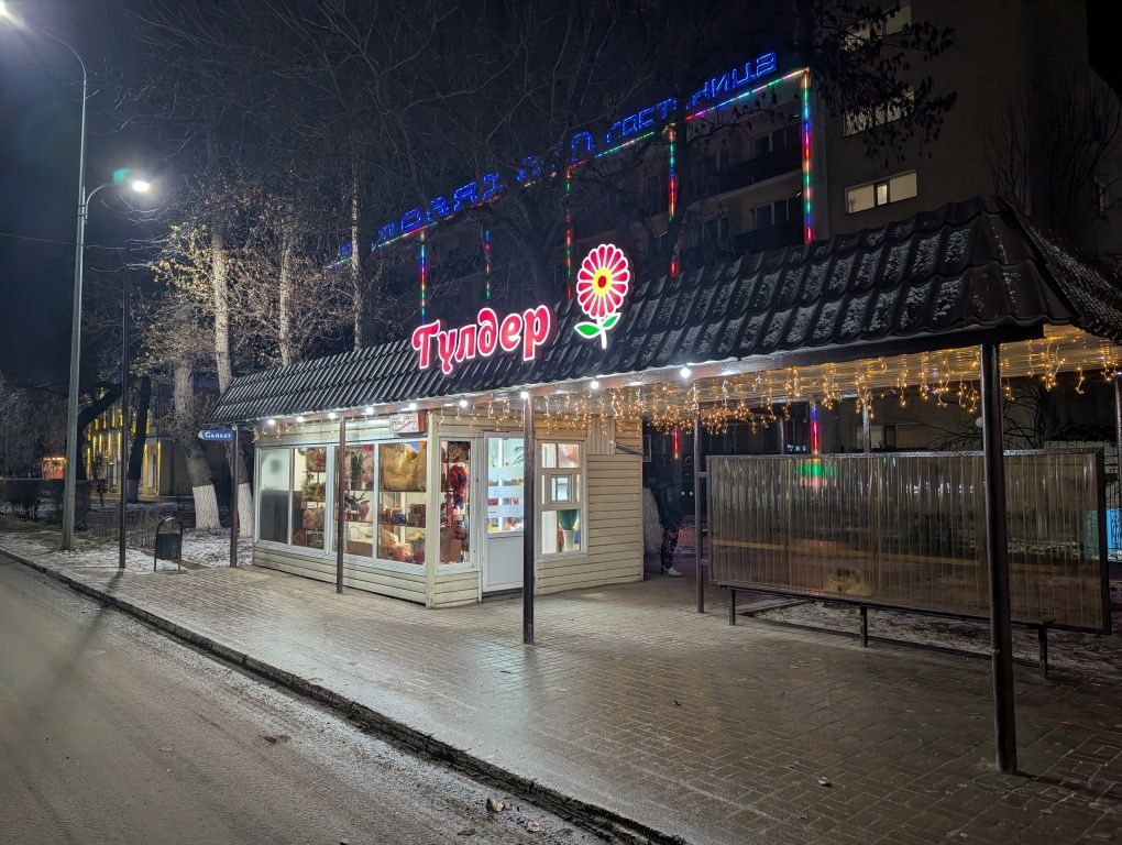 Цветы "Daisy's" (Саяхат ост.)