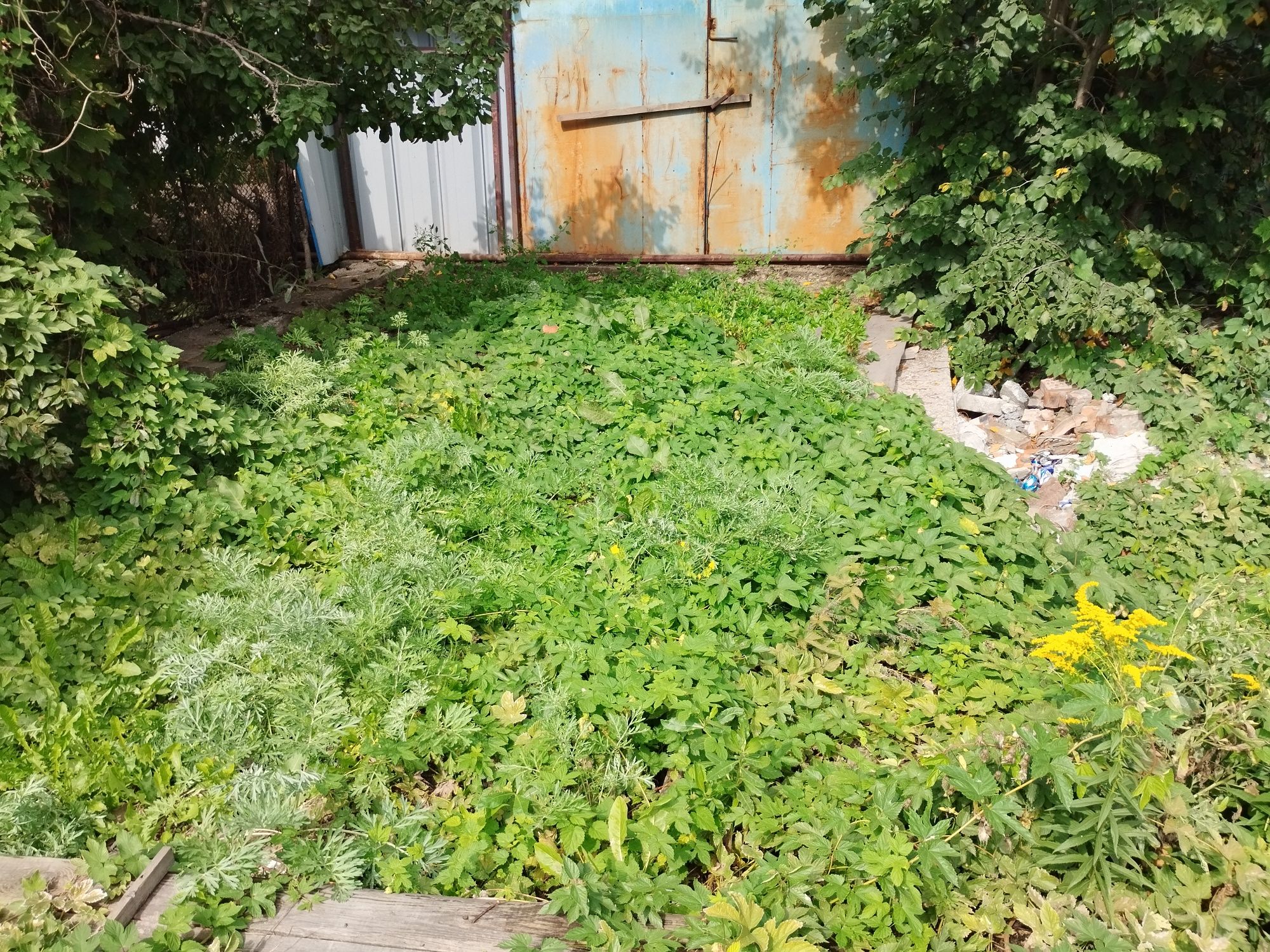 Срочно продам участок  р.Мирный