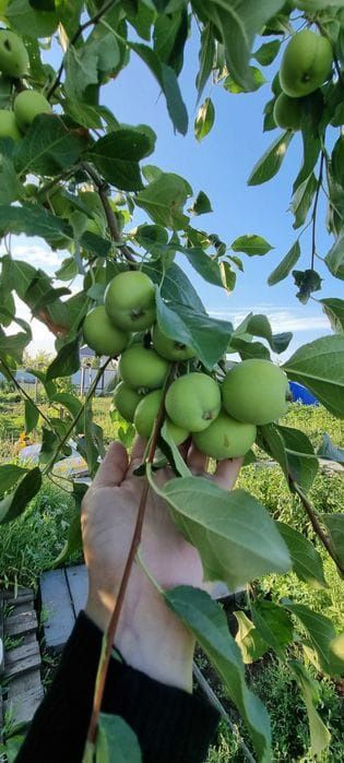Продам участок, район Мал базара