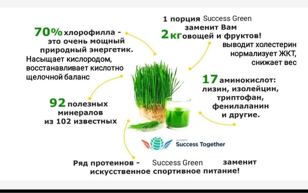 Клеточное питание