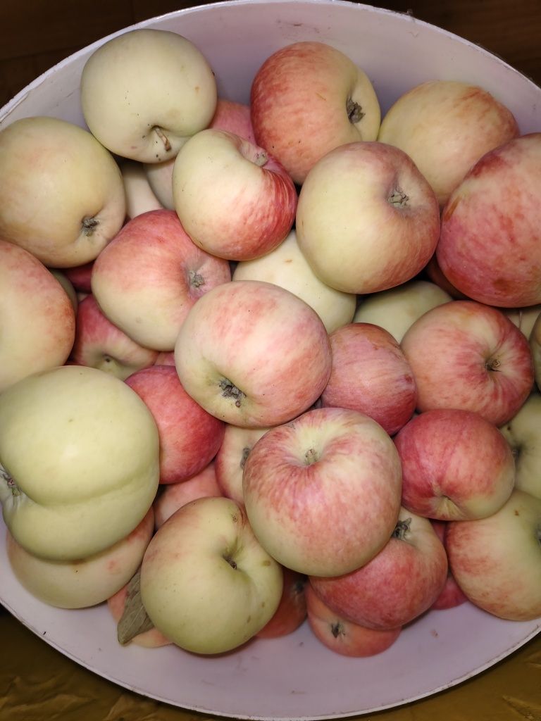 Продам яблоки! Дачные сладкие.