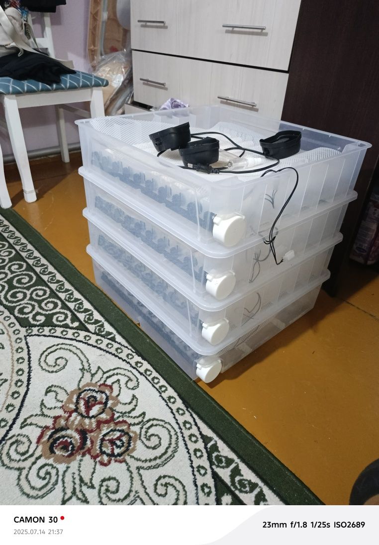 Продам инкубатор