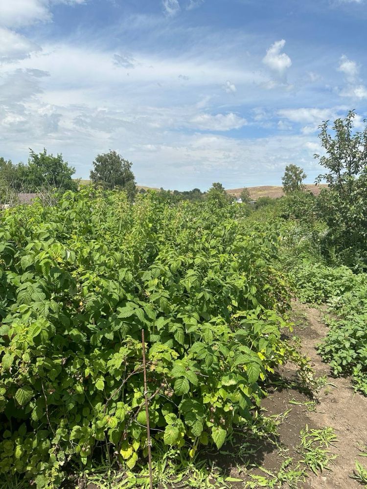 Продам дачу , общество Металист