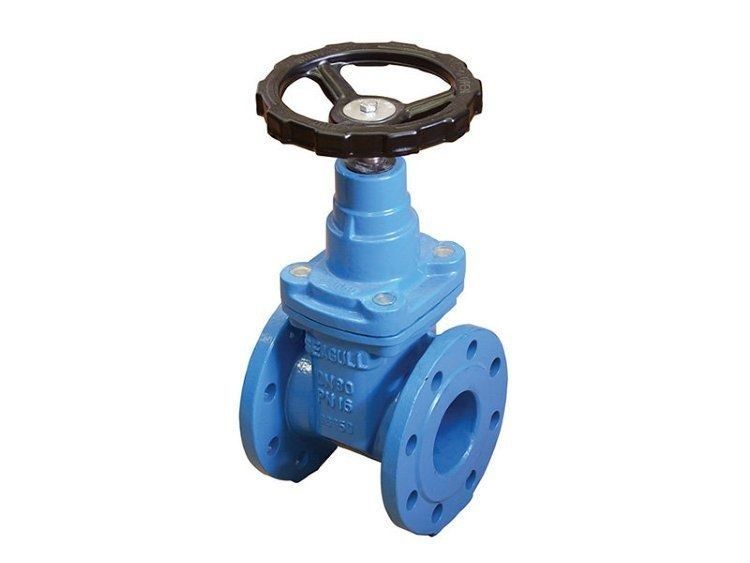 Задвижка DN 50 PN 16