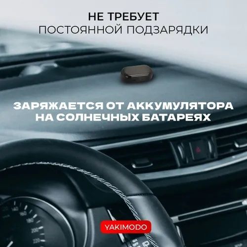 Автосигнализация муляж