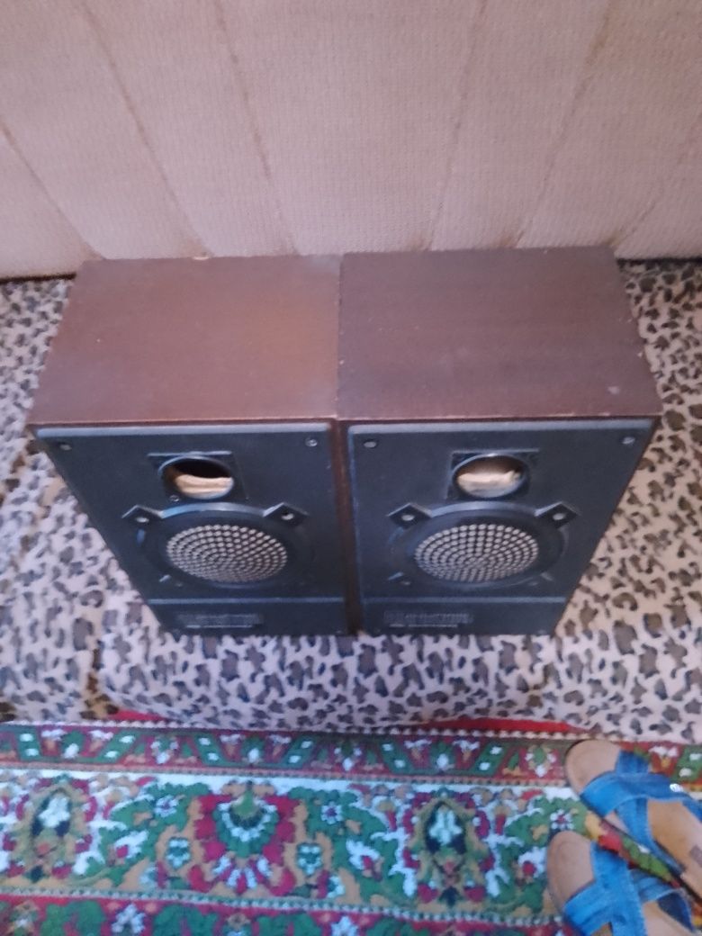 корпуса полочных колонок Radiotehnika